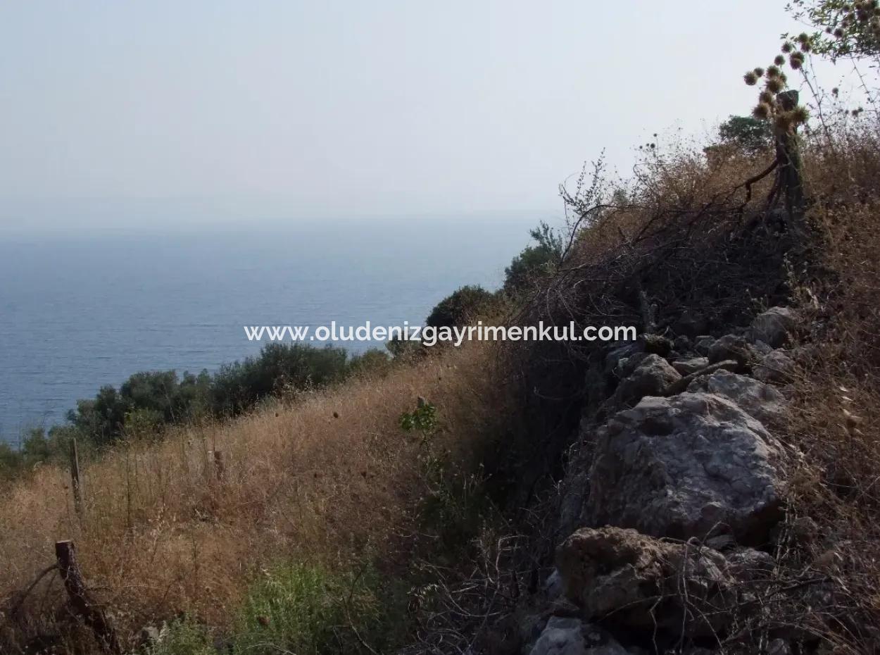 Akyaka Kandilli De Satılık Arsa 5000M2 Full Deniz Manzaralı Satılık Köy Evi Arsa