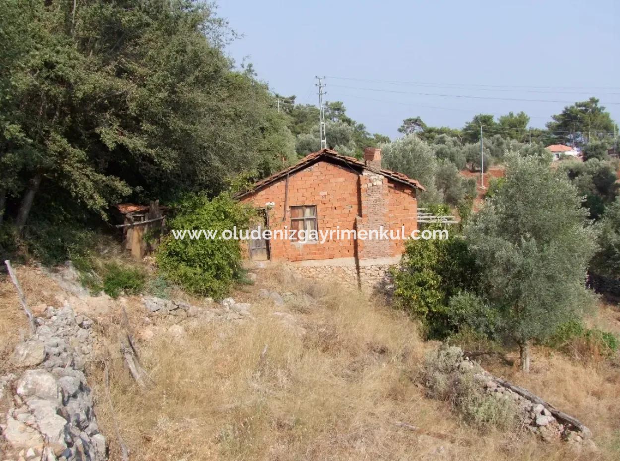 Akyaka Kandilli De Satılık Arsa 5000M2 Full Deniz Manzaralı Satılık Köy Evi Arsa