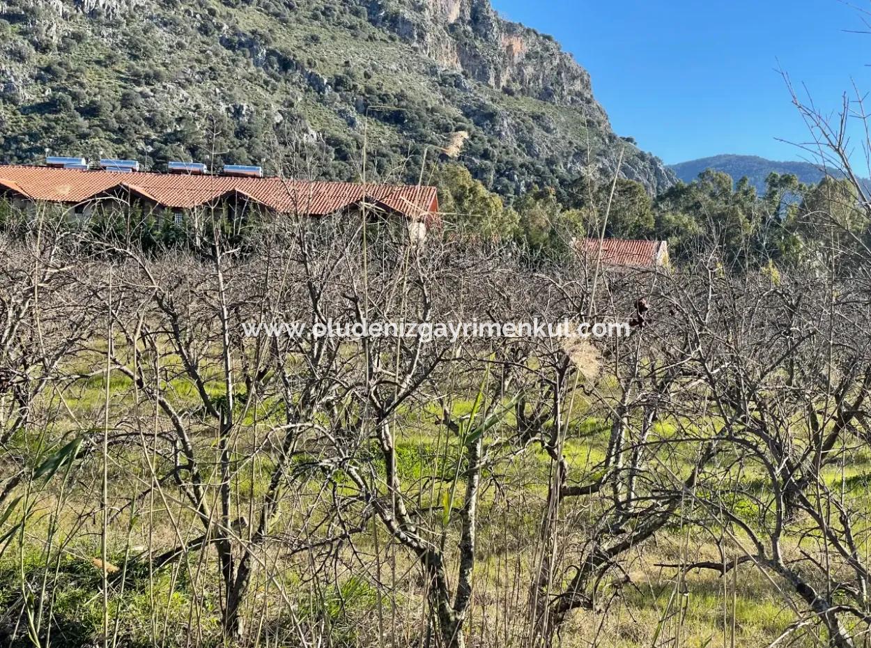 Dalyan İztuzu Yoluna Sıfır 5216M2 Satılık Tarla Arsa