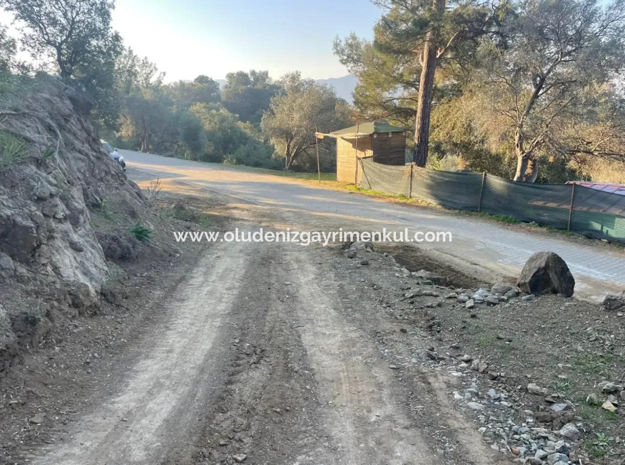 Çandır Göl Deniz Manzaralı 2,806M2 2B Satılık Tarla