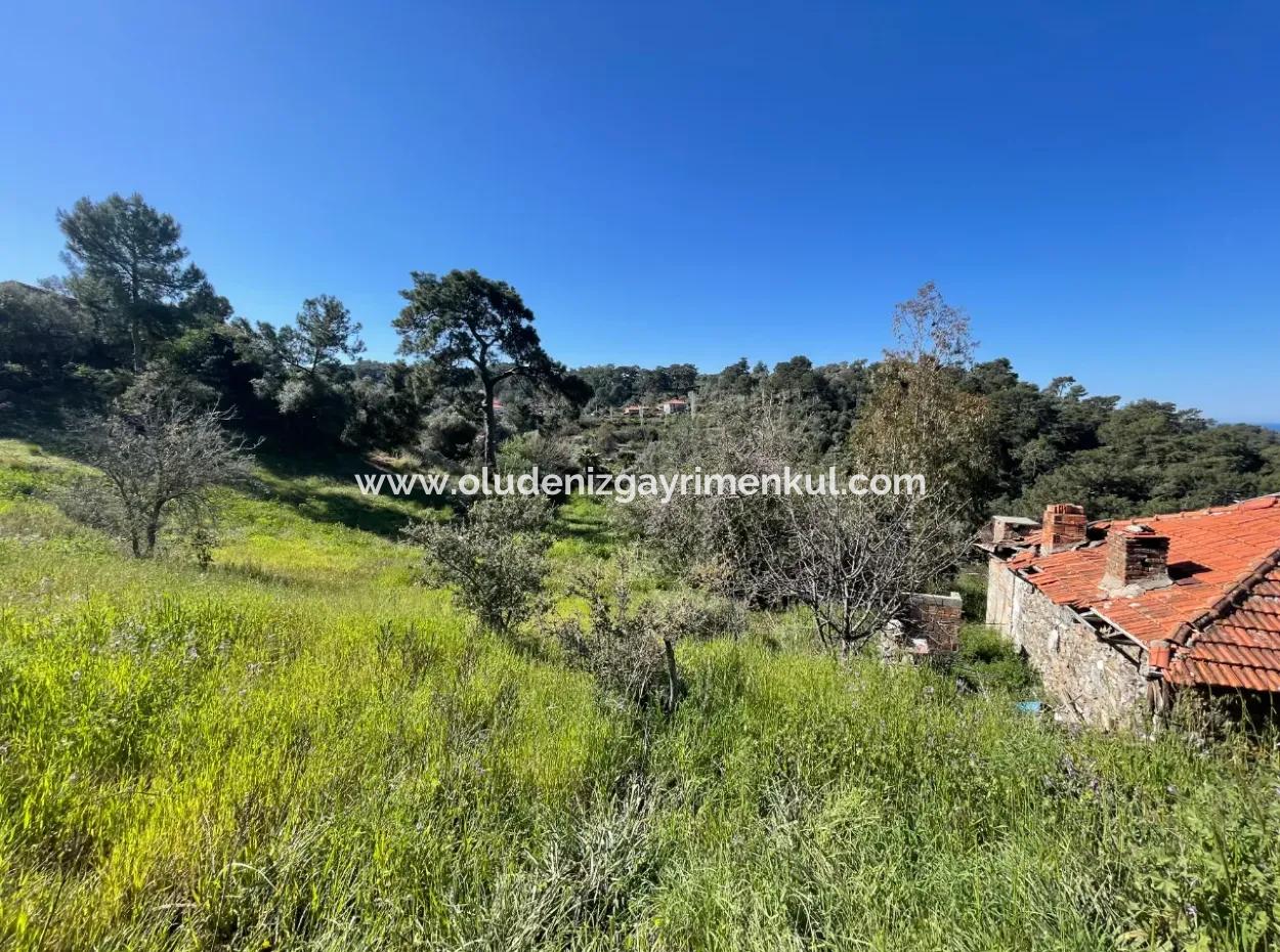 Gökbel'de Full Deniz Manzaralı 4,400M2 Arsa İçinde Satılık Köy Evi