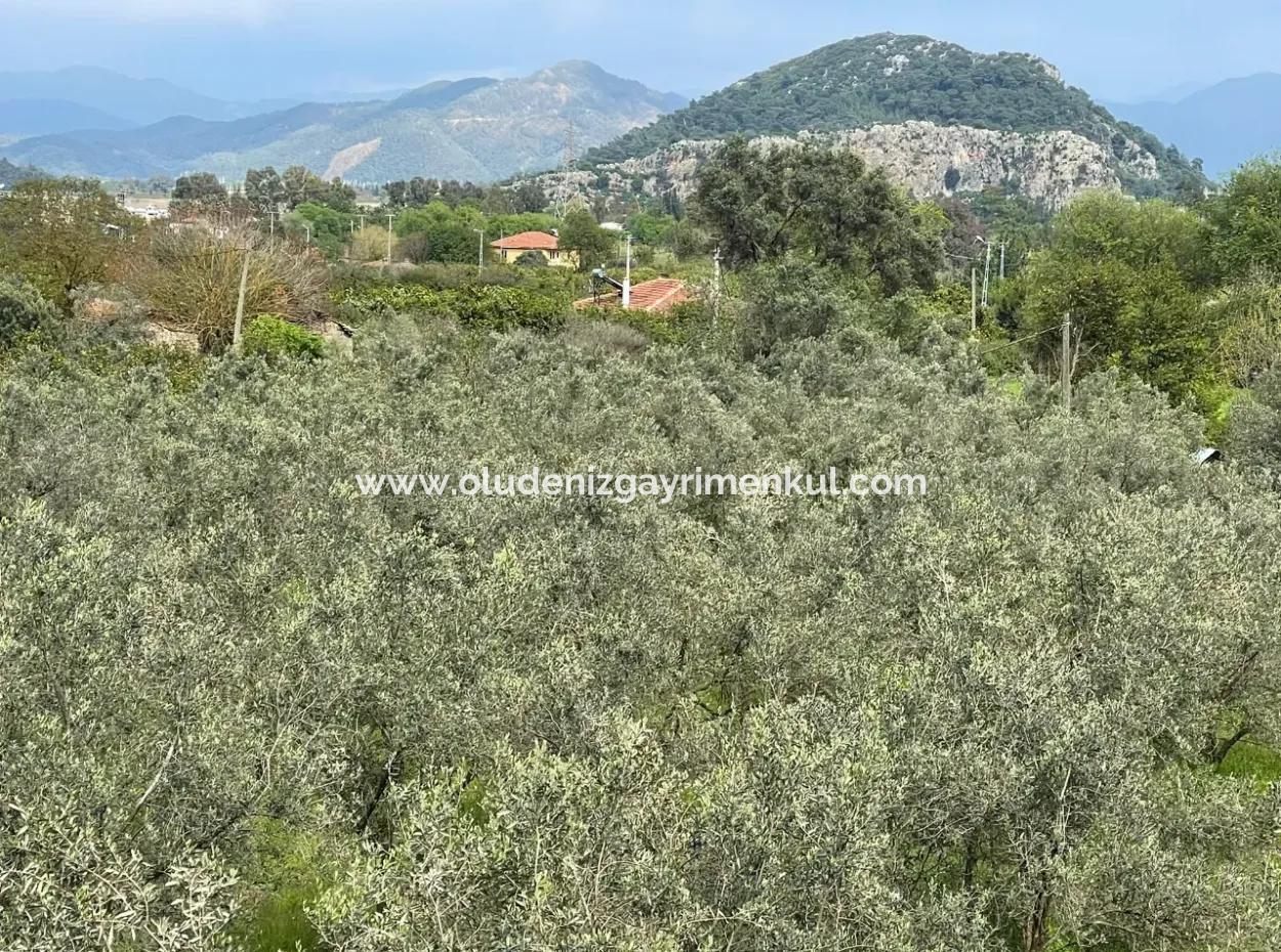 Çandır'da Yola Sıfır 5000M2 Satılık Tarla