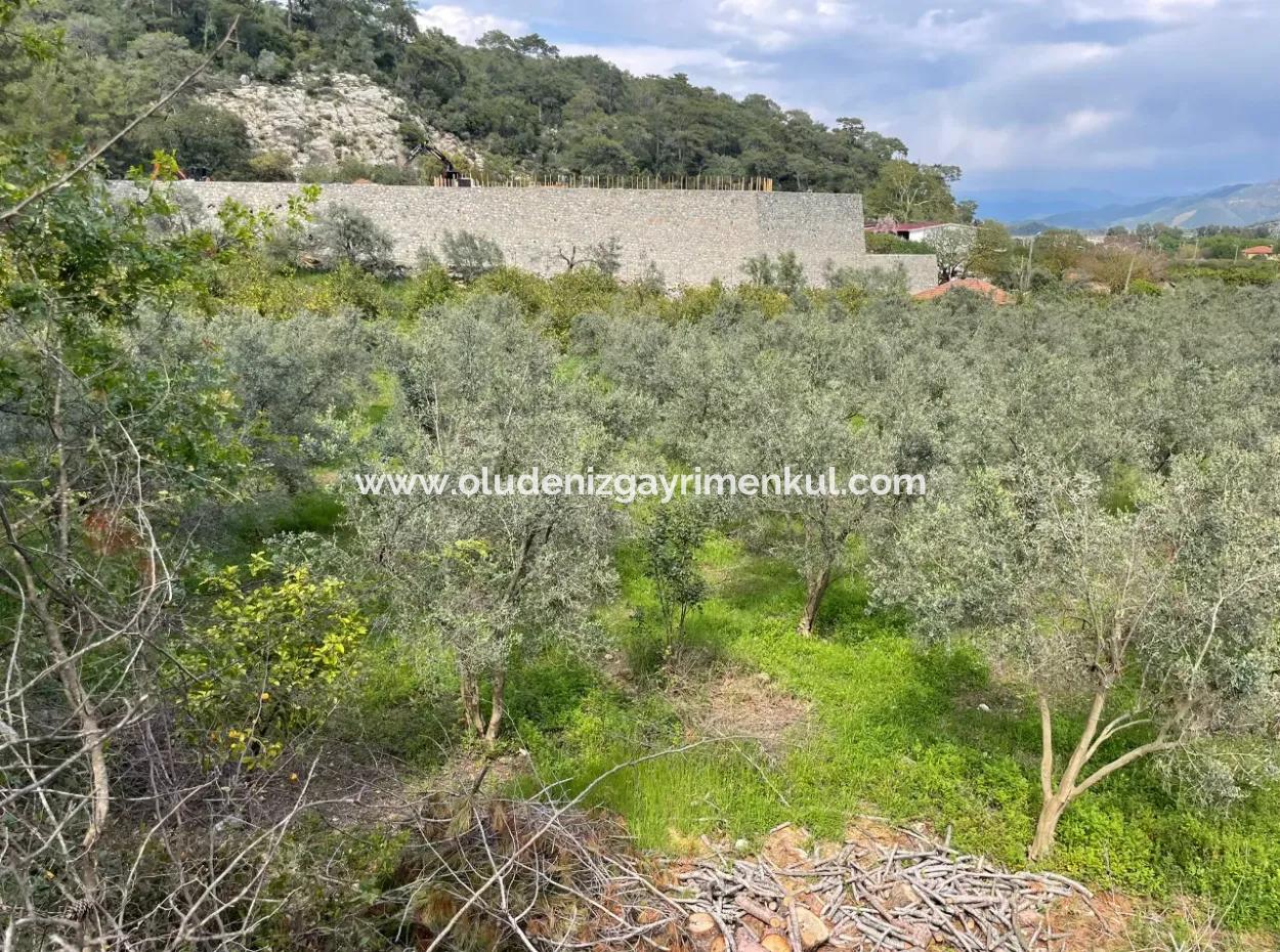 Çandır'da Yola Sıfır 5000M2 Satılık Tarla