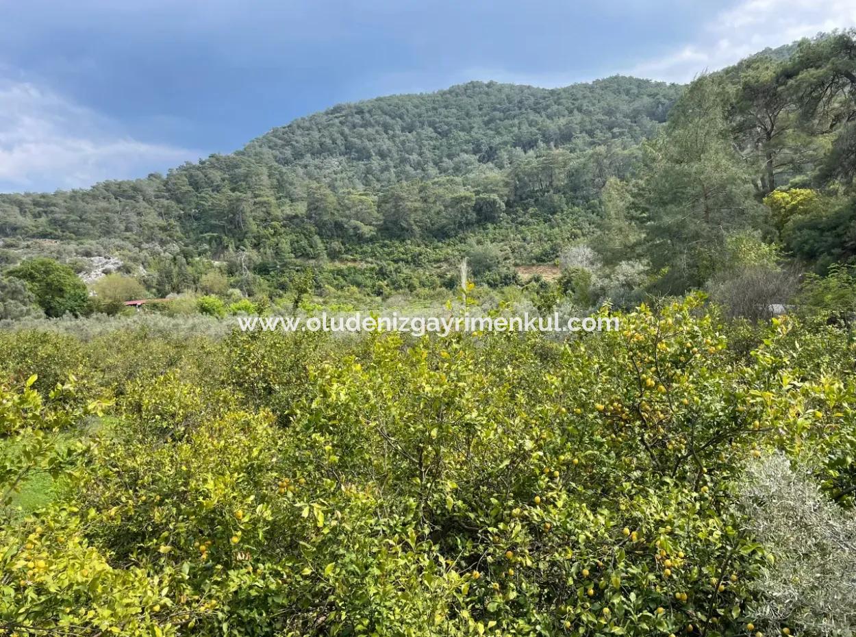 Çandır'da Yola Sıfır 5000M2 Satılık Tarla