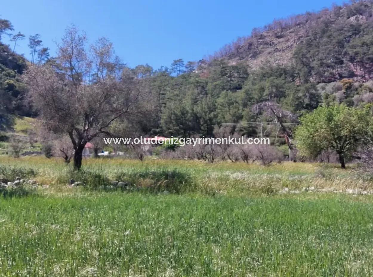 Marmaris Turgut Yatırımlık Satılık 29600M2 Satılık Arazi