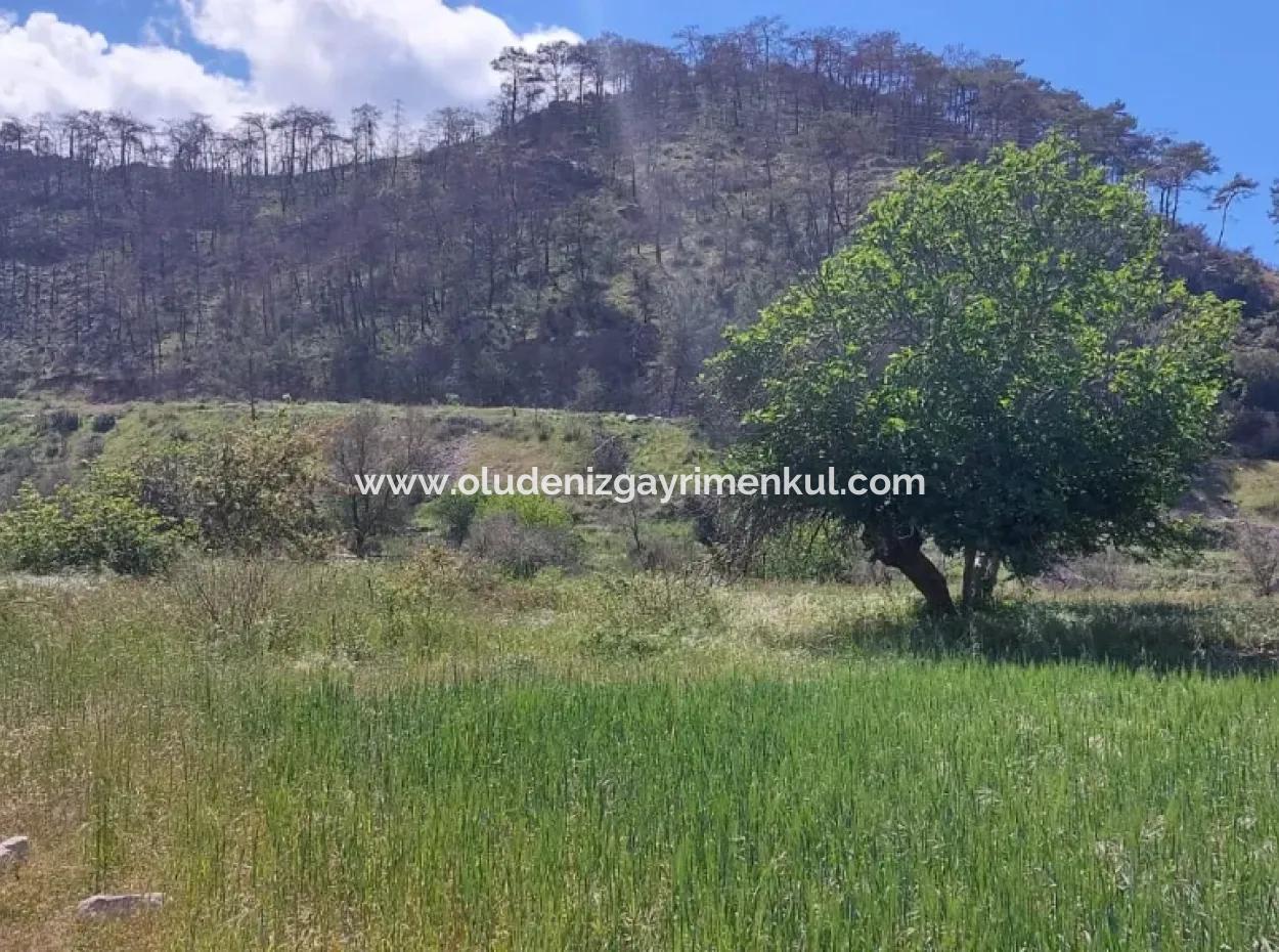 Marmaris Turgut Yatırımlık Satılık 29600M2 Satılık Arazi