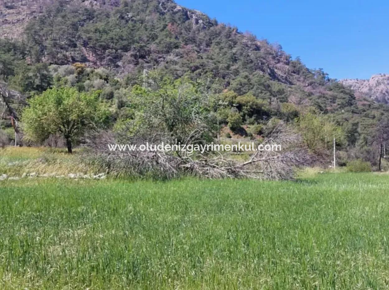 Marmaris Turgut Yatırımlık Satılık 29600M2 Satılık Arazi