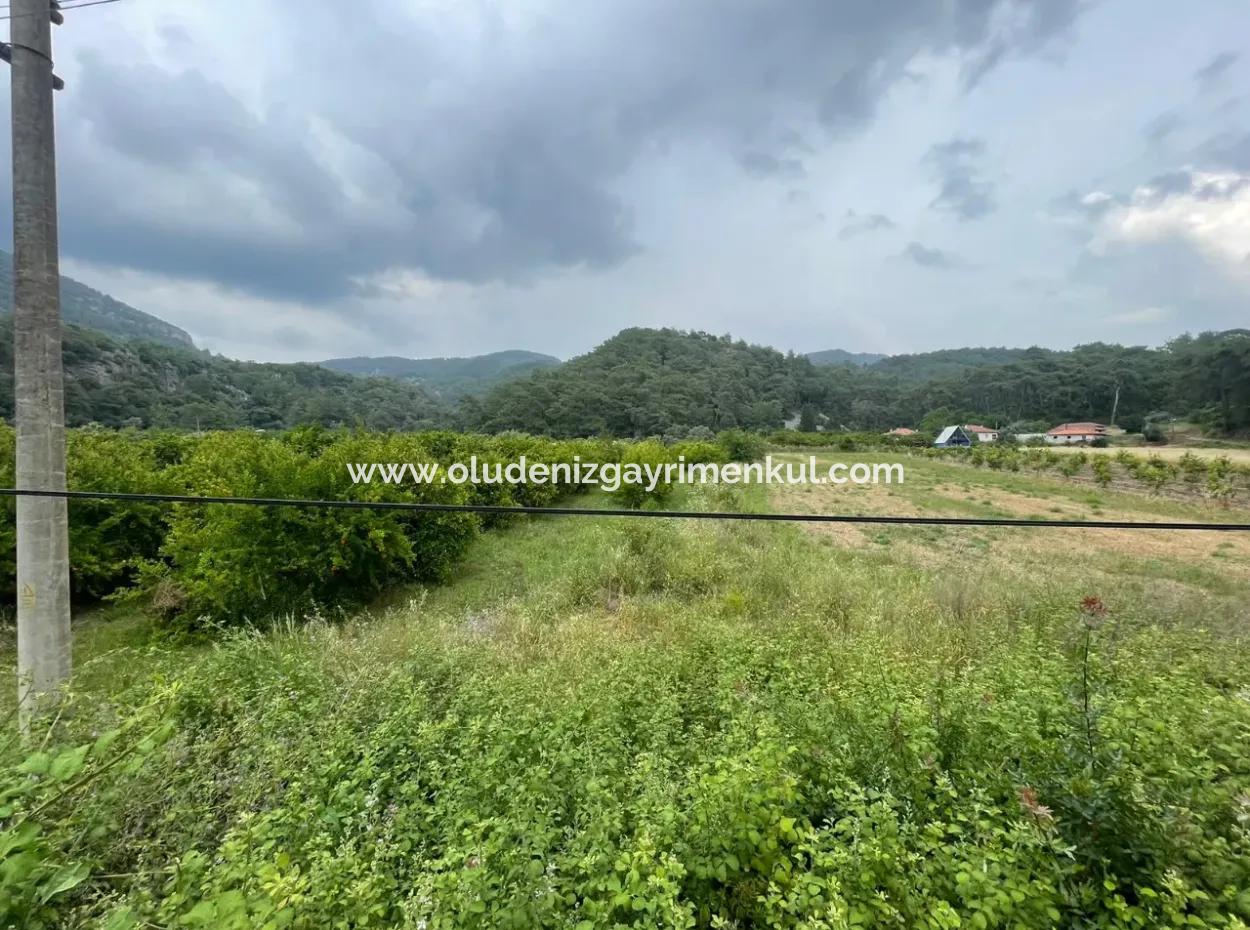 Gökbelde 14,000M2 Satılık Tarla