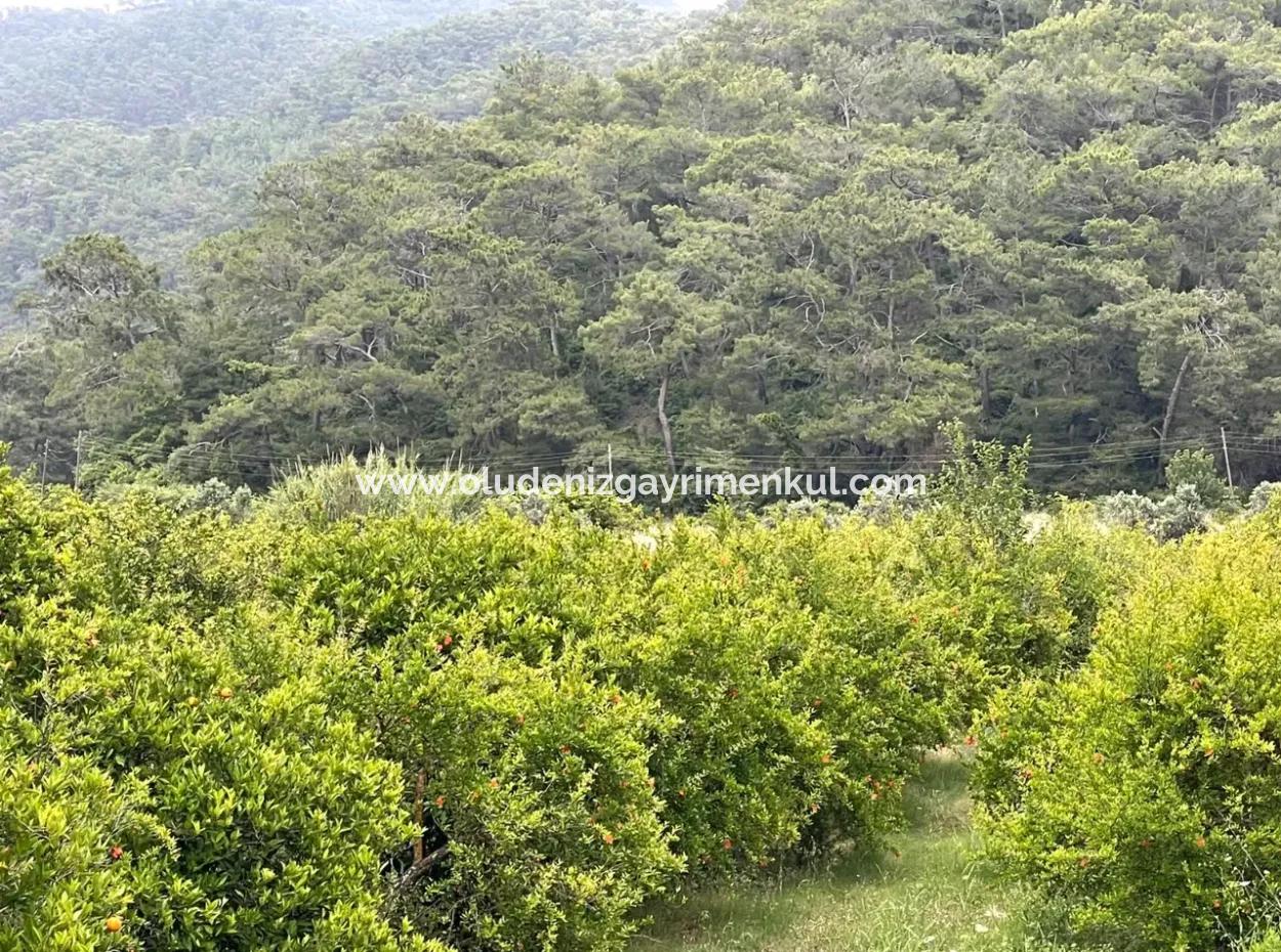 Gökbelde 14,000M2 Satılık Tarla