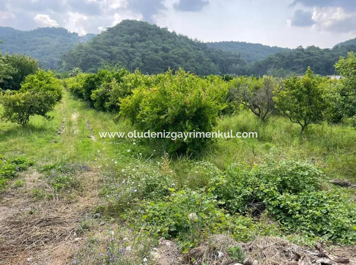 Gökbel'de İztuzu Plajı Yoluna Sıfır 7800M2 Satılık Arazi