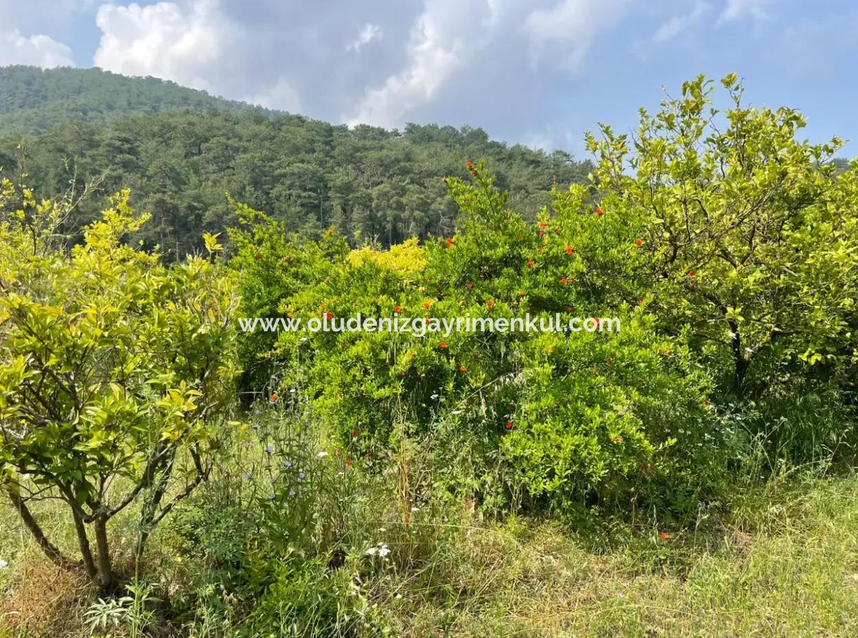 Gökbel'de İztuzu Plajı Yoluna Sıfır 7800M2 Satılık Arazi