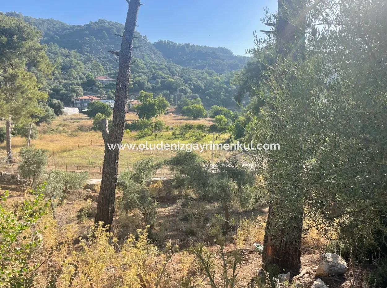 Çandır Merkezde Ormana Sıfır 1,320M2 Satılık Tarla