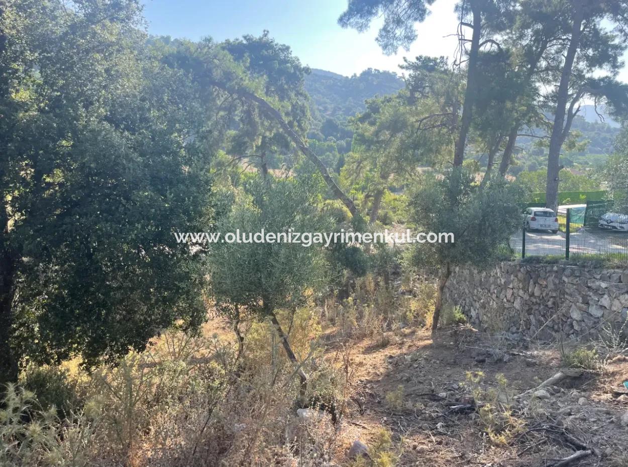 Çandır Merkezde Ormana Sıfır 1,320M2 Satılık Tarla