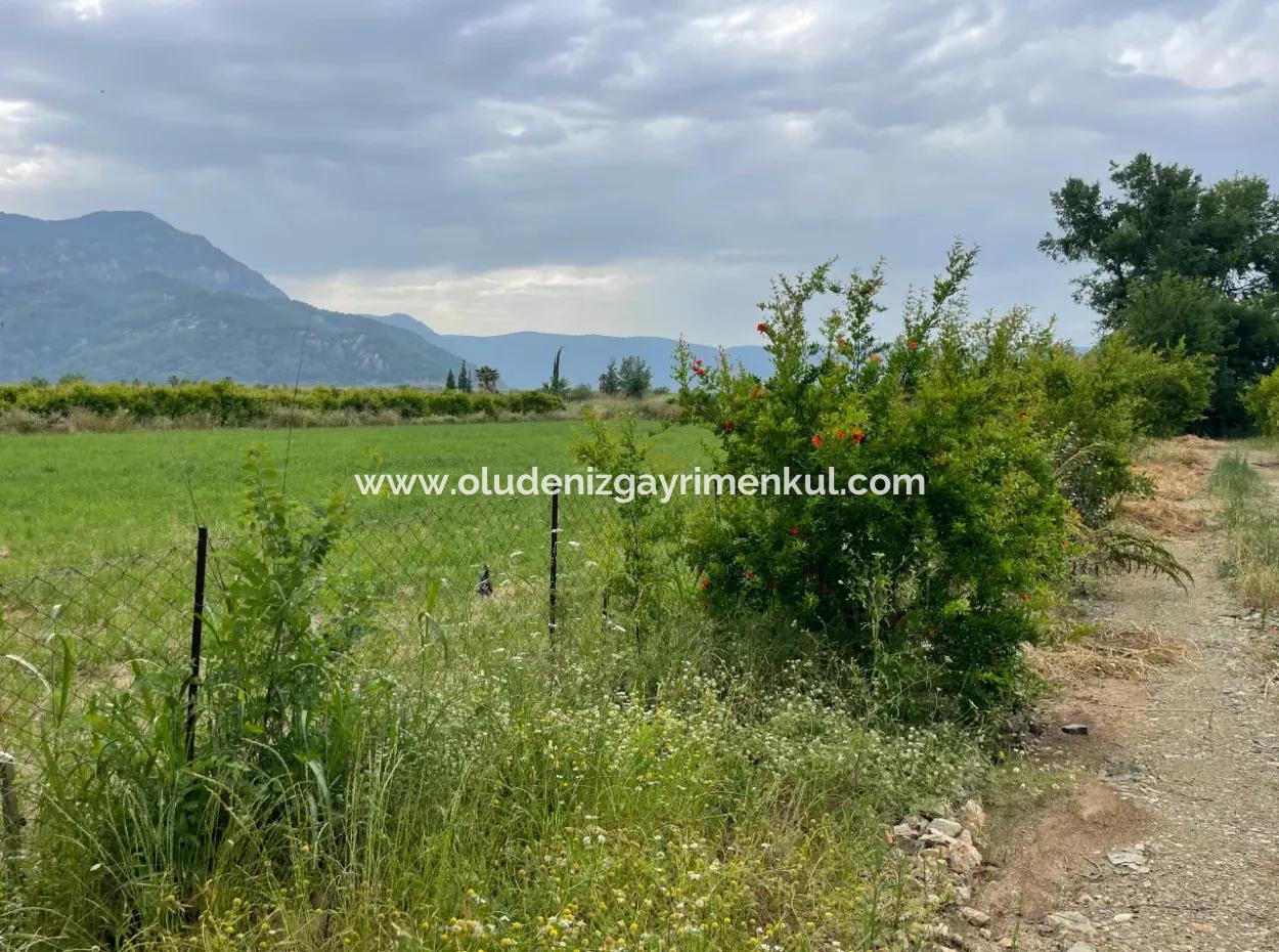 Dalyan''da Merkeze Yakın 2,528M2 Satılık Tarla