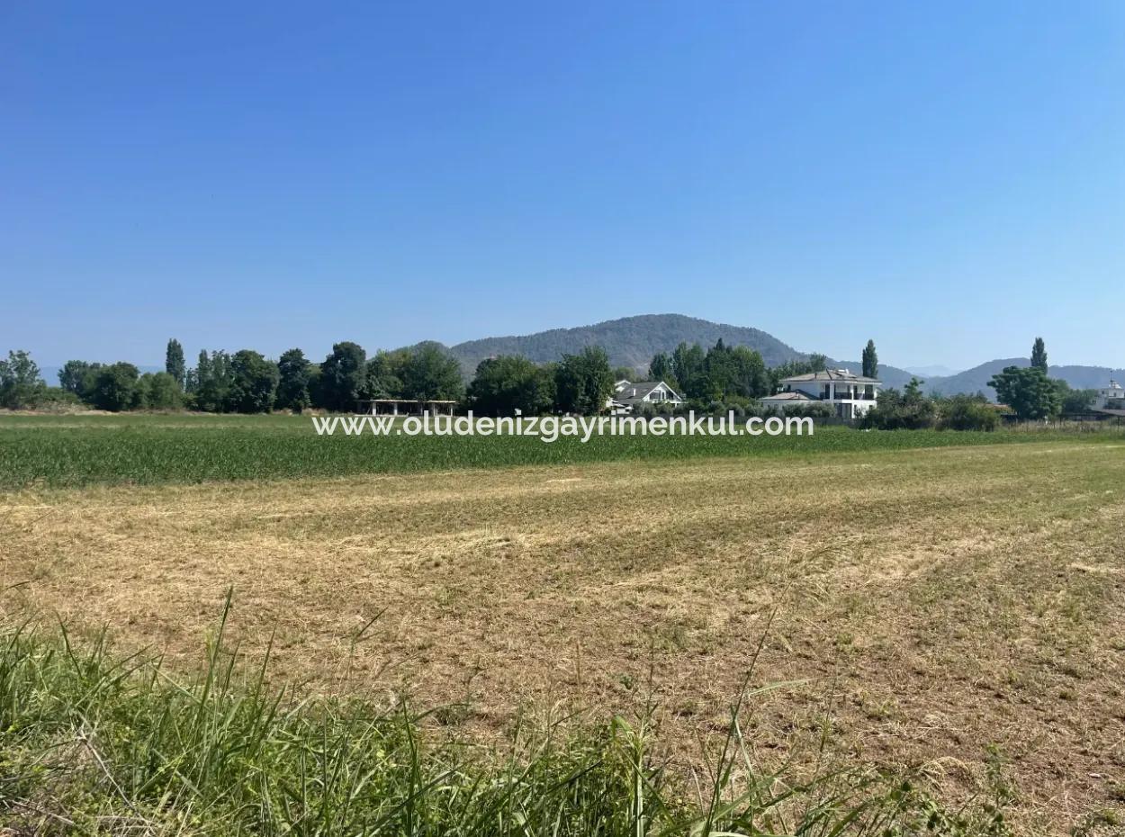 Okçular'da Köy Yerleşik Alanda 2715M2 Satılık Arsa