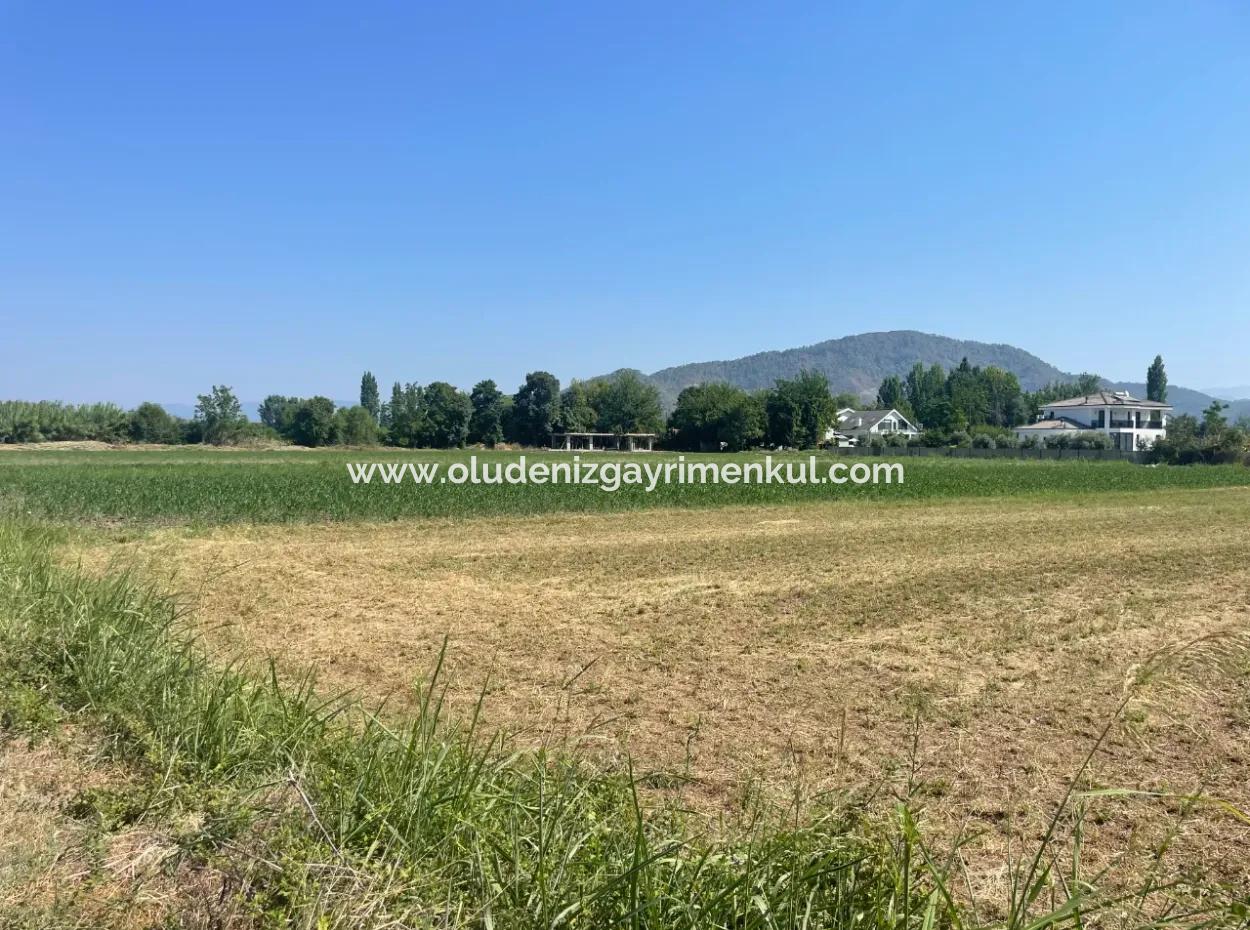 Okçular'da Köy Yerleşik Alanda 2715M2 Satılık Arsa