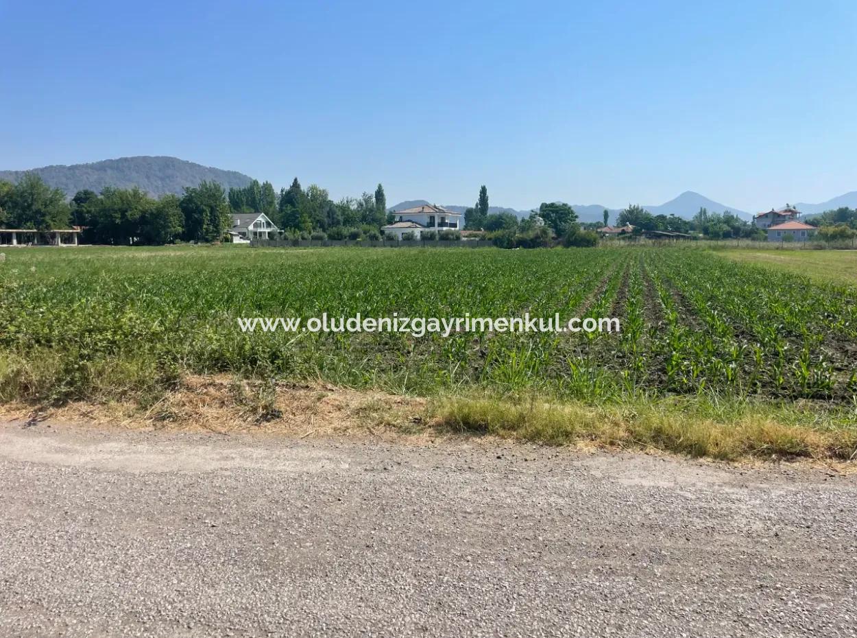 Okçular'da Köy Yerleşik Alanda 2715M2 Satılık Arsa