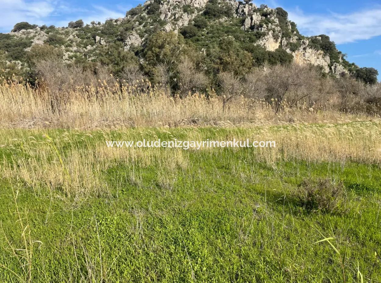 Dalyan'da 6800 M2 %5 Konut İmarlı Satılık Arsa