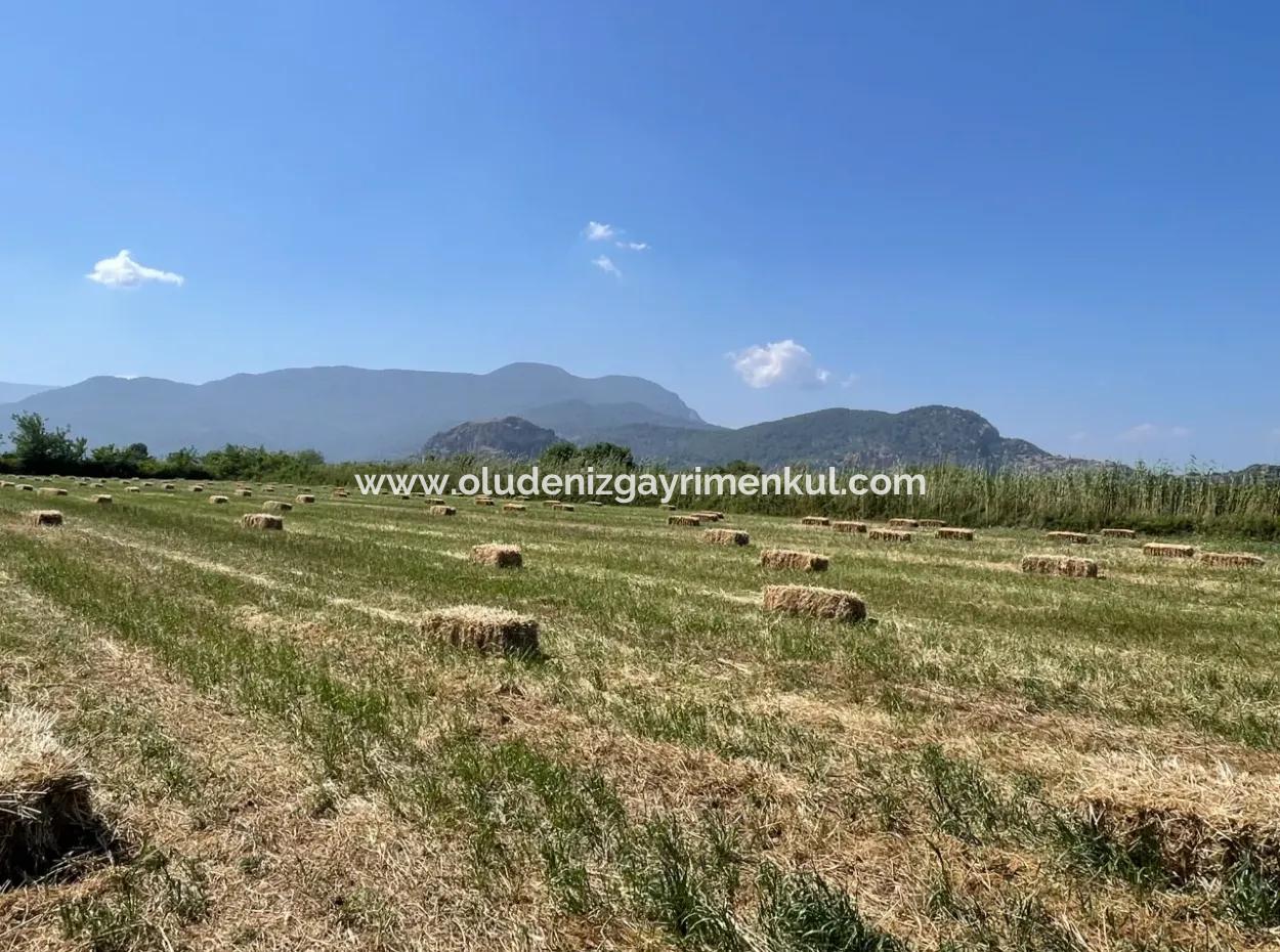 Dalyan'da İztuzu Yoluna Sıfır 6,500M2 Satılık Tarla