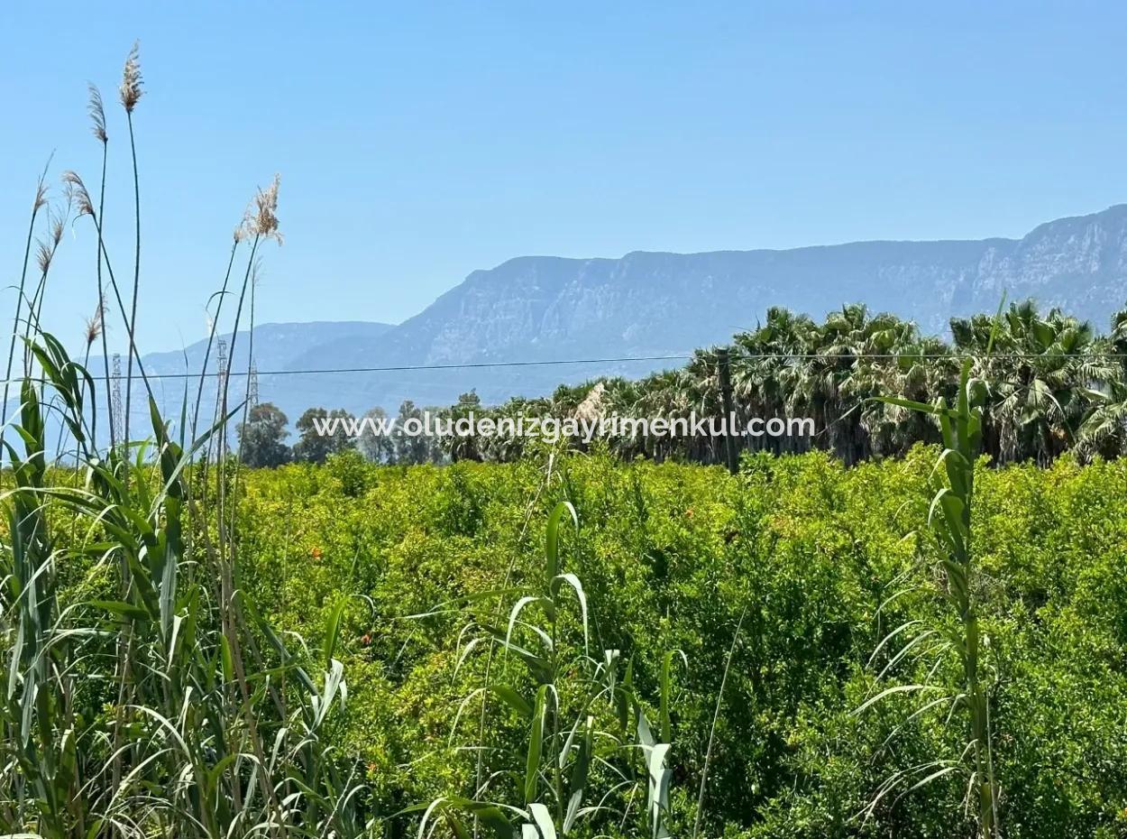 Akyaka Akçapınar'da Yola Sıfır 13,500M2 Satılık  Tarla