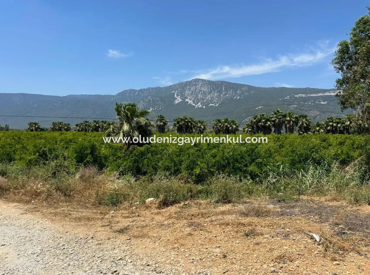 Akyaka Akçapınar'da Yola Sıfır 13,500M2 Satılık  Tarla