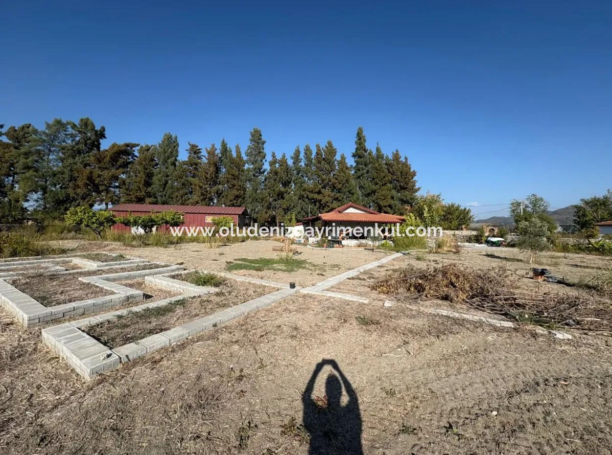 Eskiköy'de 19.663M2 Çiftlik Arazisi Ve Ev Satılıktır