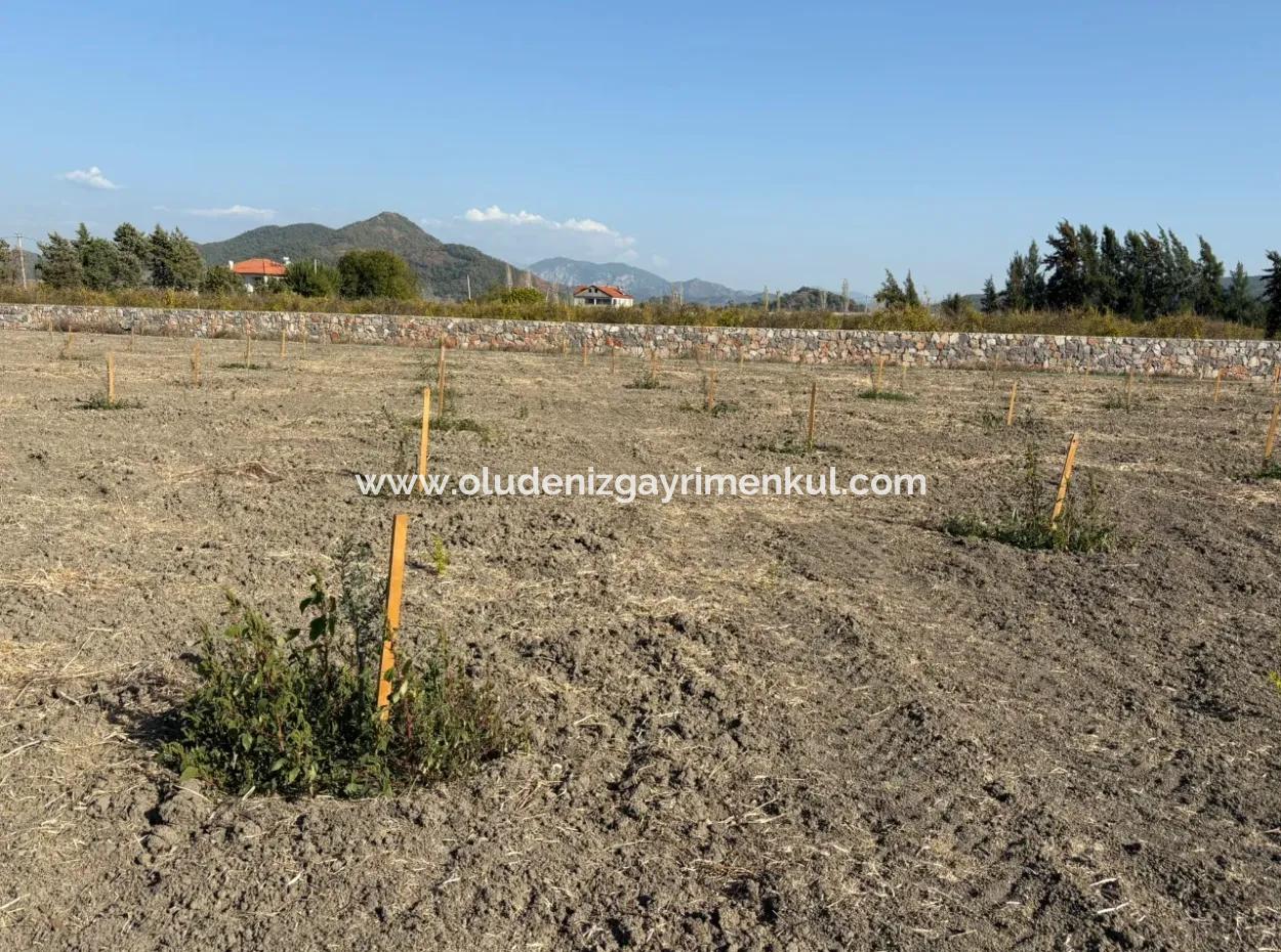 Eskiköy'de 19.663M2 Çiftlik Arazisi Ve Ev Satılıktır