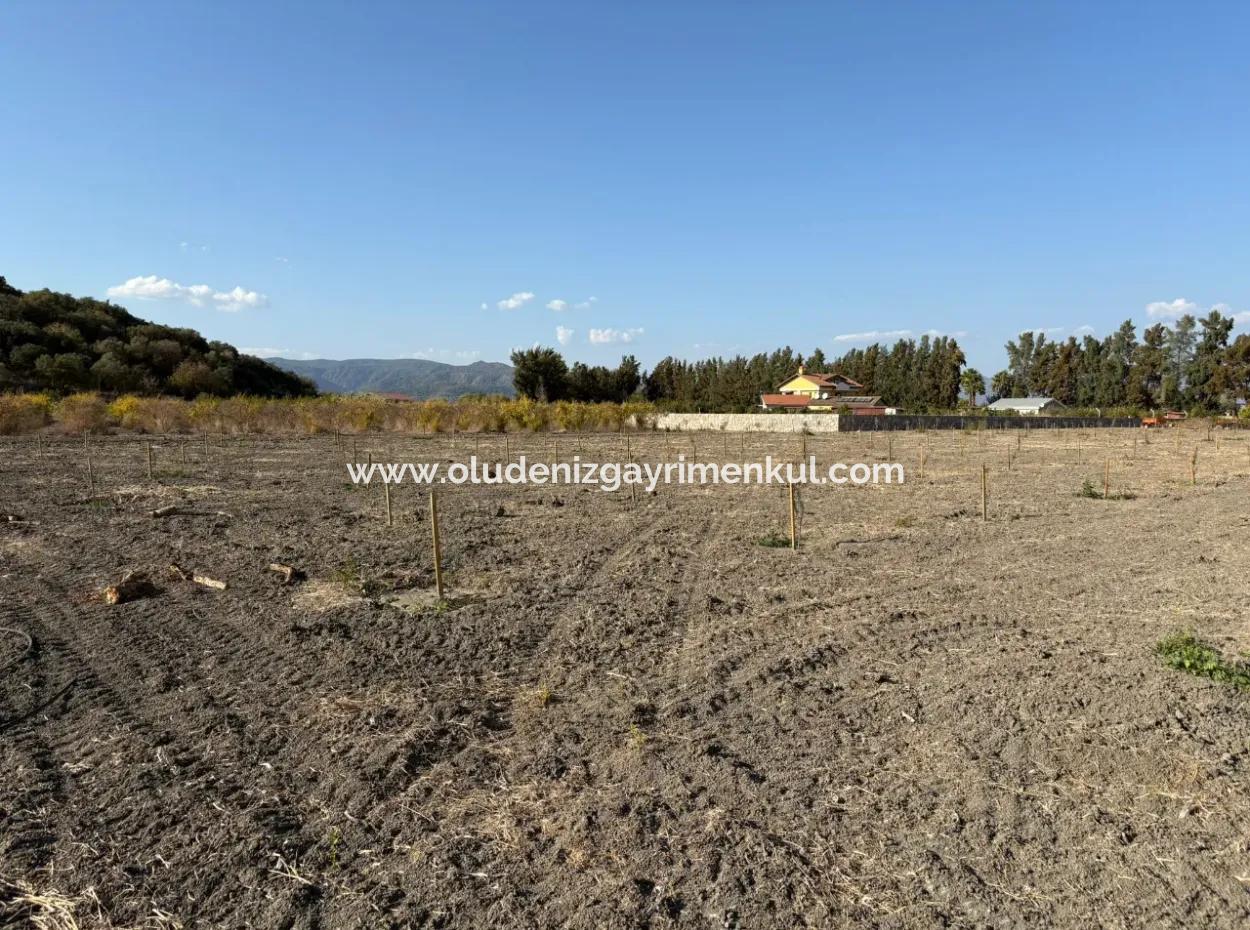 Eskiköy'de 19.663M2 Çiftlik Arazisi Ve Ev Satılıktır